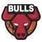 Chicago Bulls logo