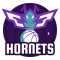 Charlotte Hornets logo