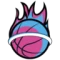 Miami Heat logo