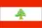 Lebanon logo