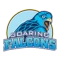 ADU Falcons logo